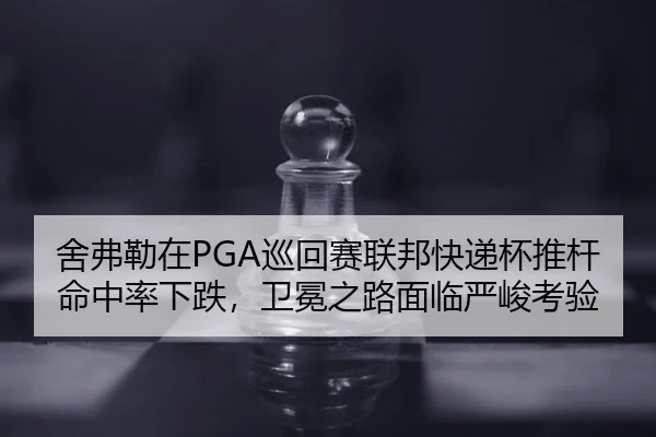 she-fu-lei-zai-xun-hui-sai-lian-bang-kuai-di-bei-tui-gan-ming-zhong-lv-xia-die-wei-mian-zhi-lu-mian-lin-yan-jun-kao-yan-2-607.jpg